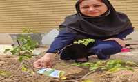 گزارش تصویری برنامه کاشت نهال به نام دختران 