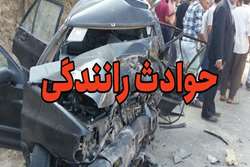 در گروه سنی ۱۸ تا ۲۹ سال عمده ترین علت مرگ، حوادث حمل و نقل و رانندگی می باشد