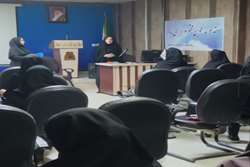 کمیته بررسی علل مرگ و میر نوزادان و کودکان 59-1 ماهه در مرکز بهداشت غرب اهواز برگزار شد